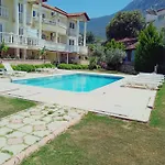 Ng Hisar